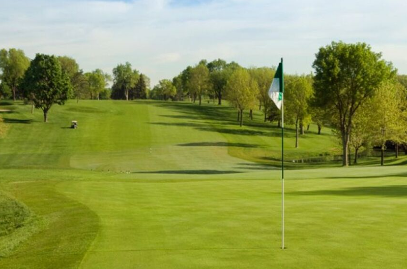 view of the green with white flag